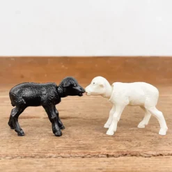 Agneau qui hoche la tête