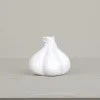 Ail décoratif