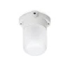 Applique de plafond en porcelaine blanche 60W verre mat