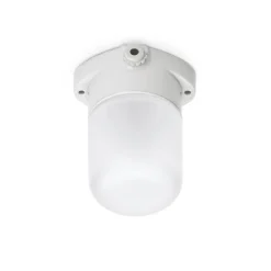 Applique de plafond en porcelaine blanche 60W verre mat