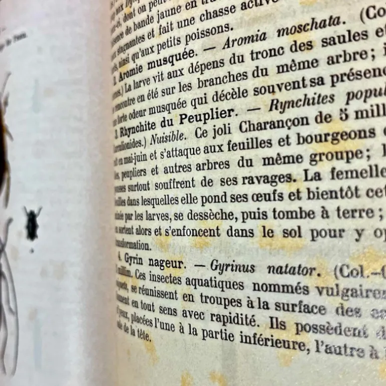 Atlas de poche
