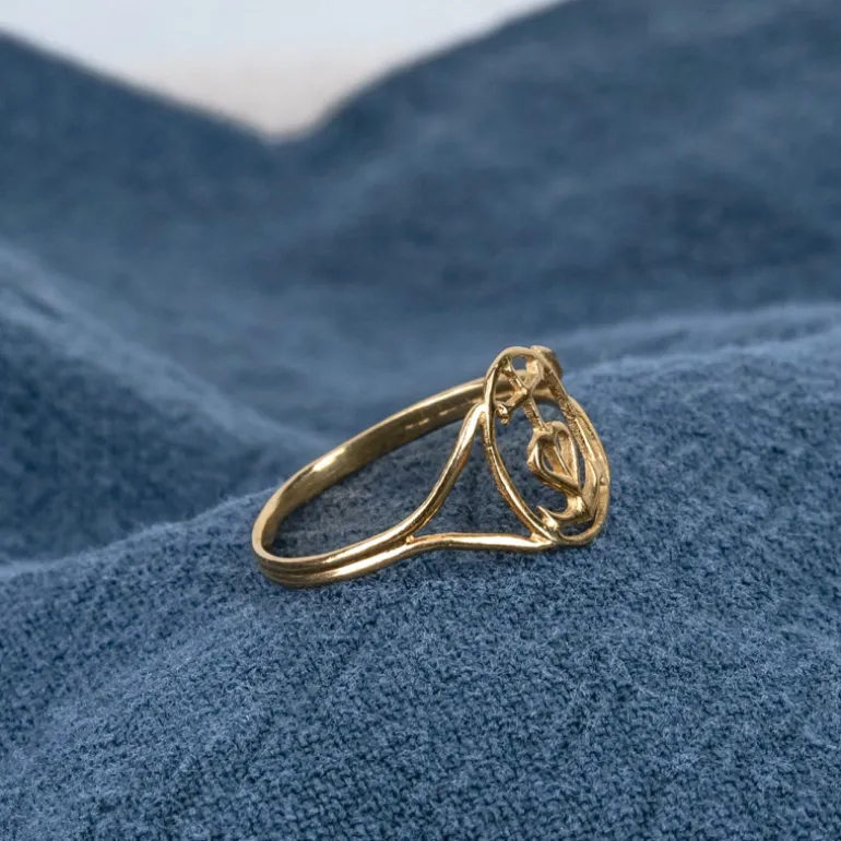 Bague fine Croix de Camargue vermeil