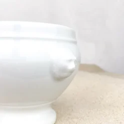 Bol à soupe tête de lion porcelaine blanche