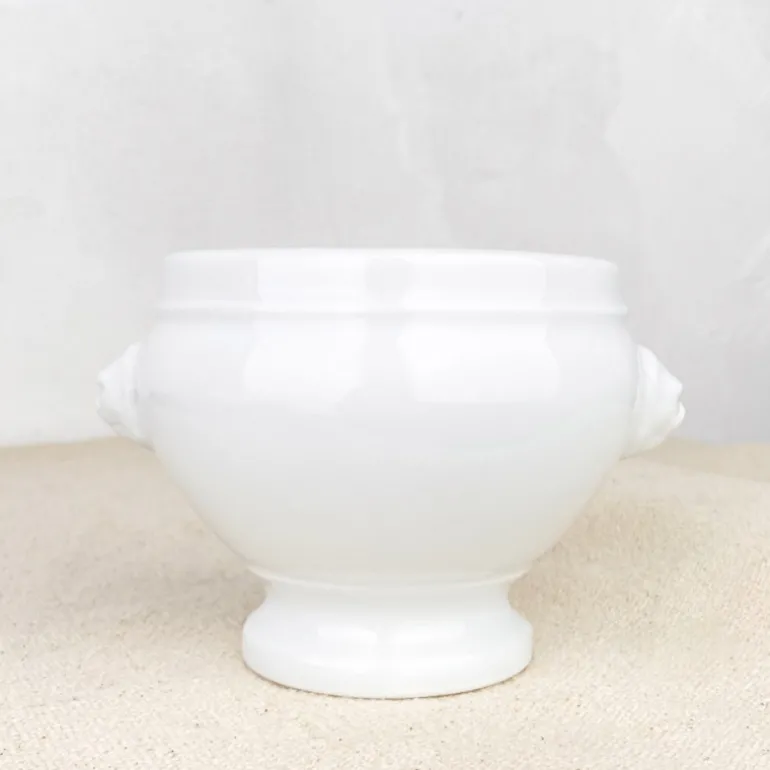 Bol à soupe tête de lion porcelaine blanche