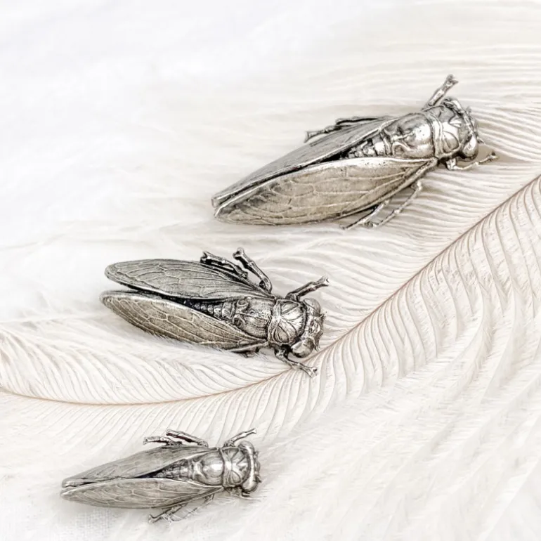 Broche cigale vieil argent
