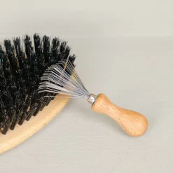 Brosse à brosses et peignes