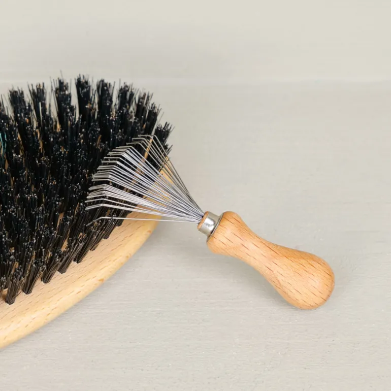 Brosse à brosses et peignes