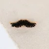 Brosse à moustache