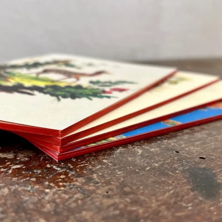 Cahier Planche d'histoire naturelle