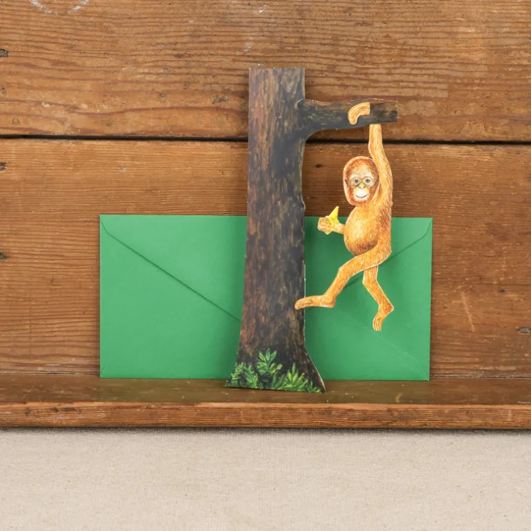 Cartes animaux en relief