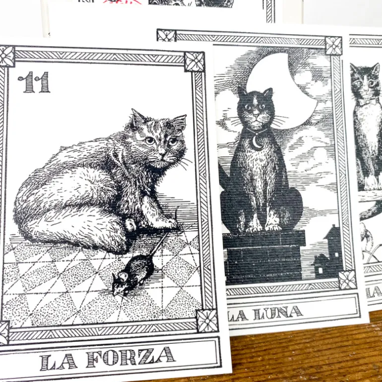 Cartes de tarot chat