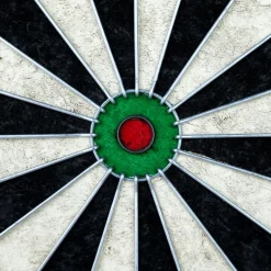 Cible de fléchettes de compétition