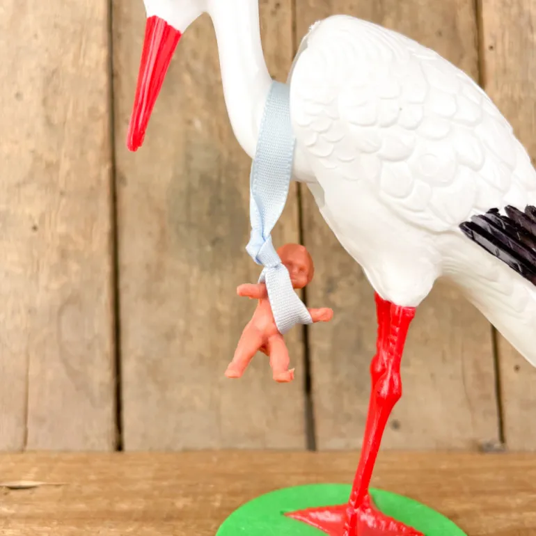 Cigogne qui hoche la tête