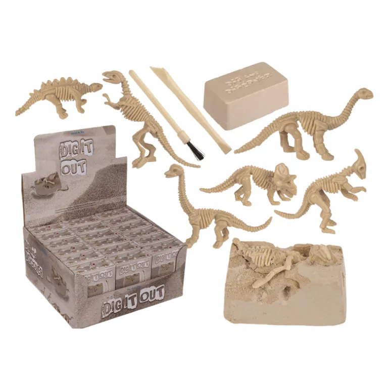 Coffret de paléontologie