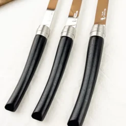 4 couteaux de table Opinel Chic manche ébène