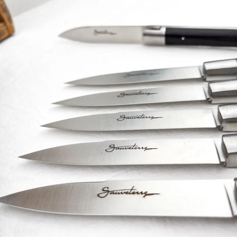 6 couteaux de table Sauveterre ébène