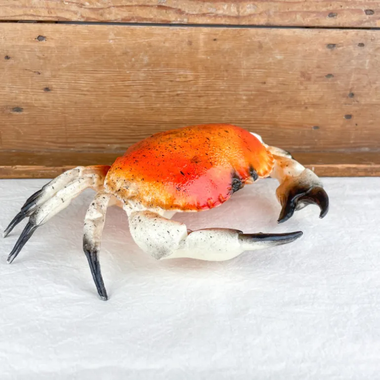 Crabe décoratif