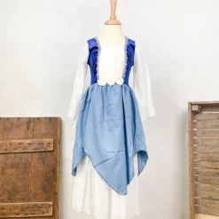 Déguisement robe de princesse bleue