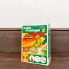 Dinosaure à mouler en plâtre