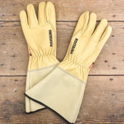 Gants longs de rosiériste