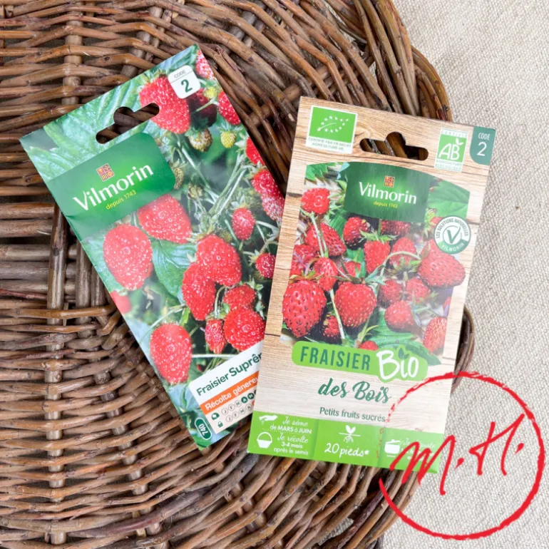 Graines de Fraisier