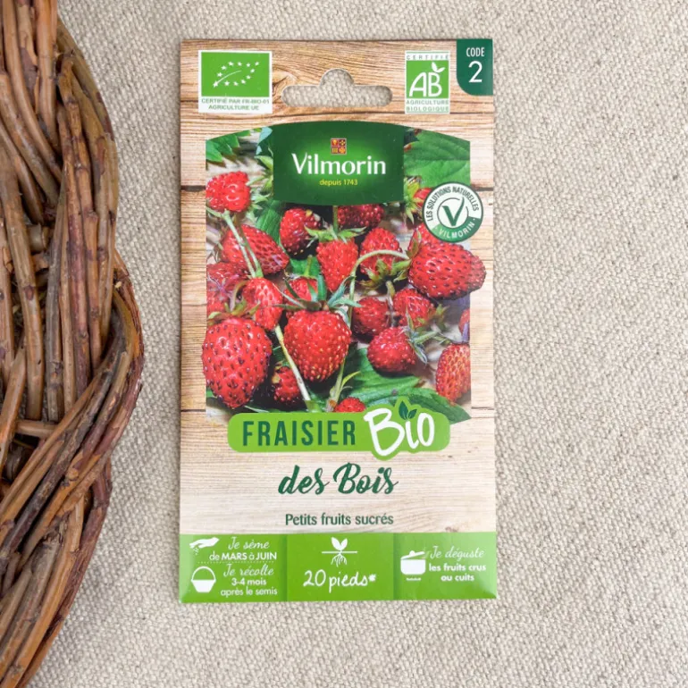 Graines de Fraisier