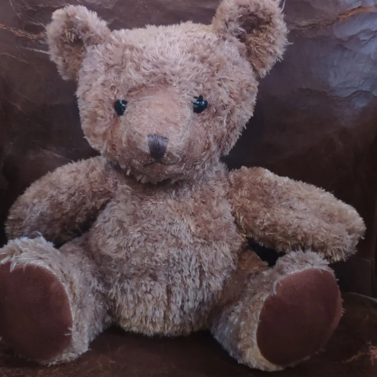 Grand Ours brun Martin