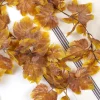 Guirlande de feuilles d'automne