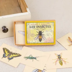 J'apprends à reconnaître les insectes