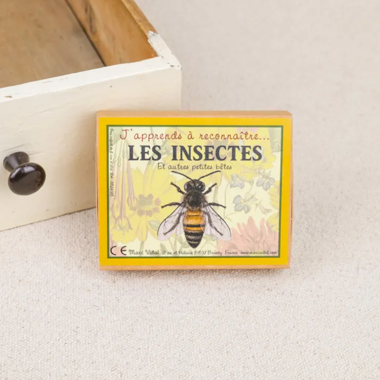 J'apprends à reconnaître les insectes