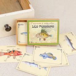 J'apprends à reconnaître les poisson
