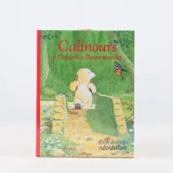Jeu Calinours à l'ecole des Buissonnades