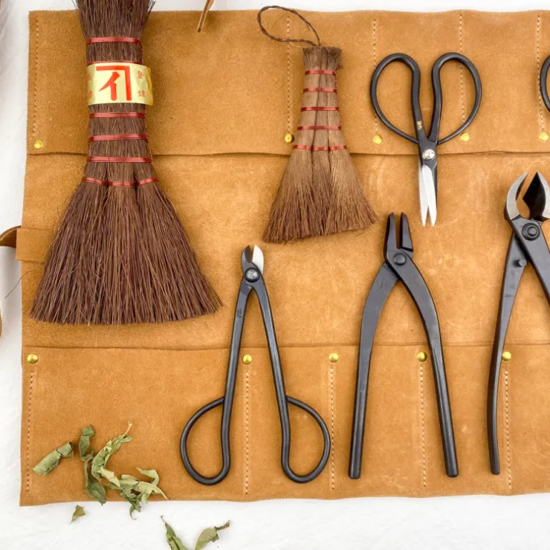 Kit pour Bonsaï - 10 outils et sacoche cuir