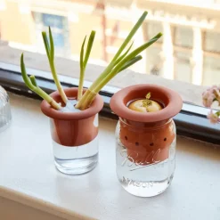 Lot de deux pots pour repousse