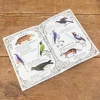 Loto Museum national d'Histoire naturelle