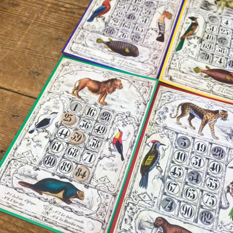 Loto Museum national d'Histoire naturelle