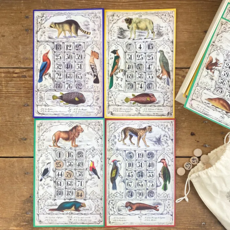 Loto Museum national d'Histoire naturelle