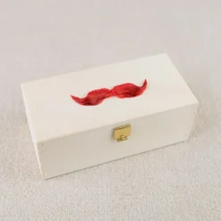 Nécessaire à moustache