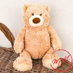 Ours peluche Teddy
