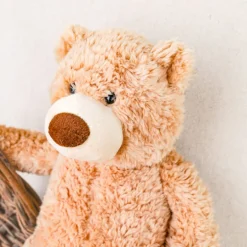 Ours peluche Teddy