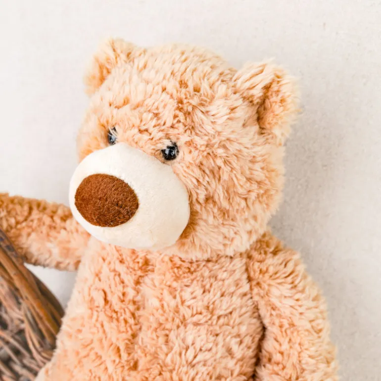 Ours peluche Teddy