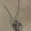 Panier à nid inox