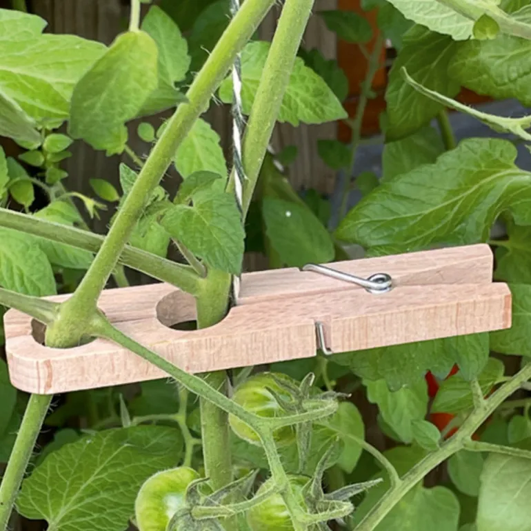 20 pinces à plantes bois de hêtre