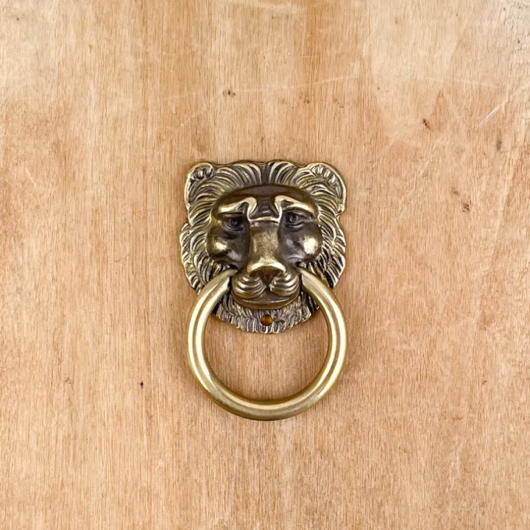 Poignée de meuble tête de lion en bronze