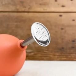Poire pulvérisatrice