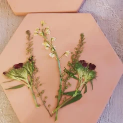 Presse à fleurs et herbes micro-ondes