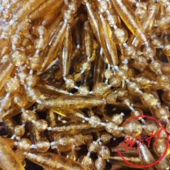 Rideau Mireille miel