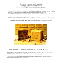 Savon de Marseille 100 g