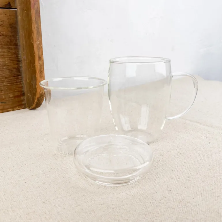 Tisanière en verre borosilicate 0,45L