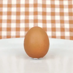 Œuf en chocolat avec sa coquille